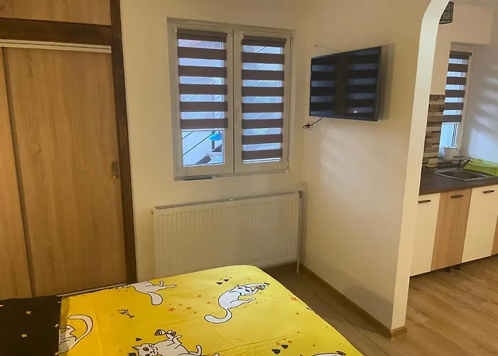 Casa Shiro